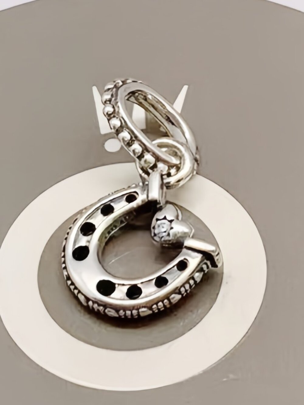 Panorama Good Luck Horseshoe Dangle Charm